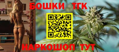 соль ск Партизанск